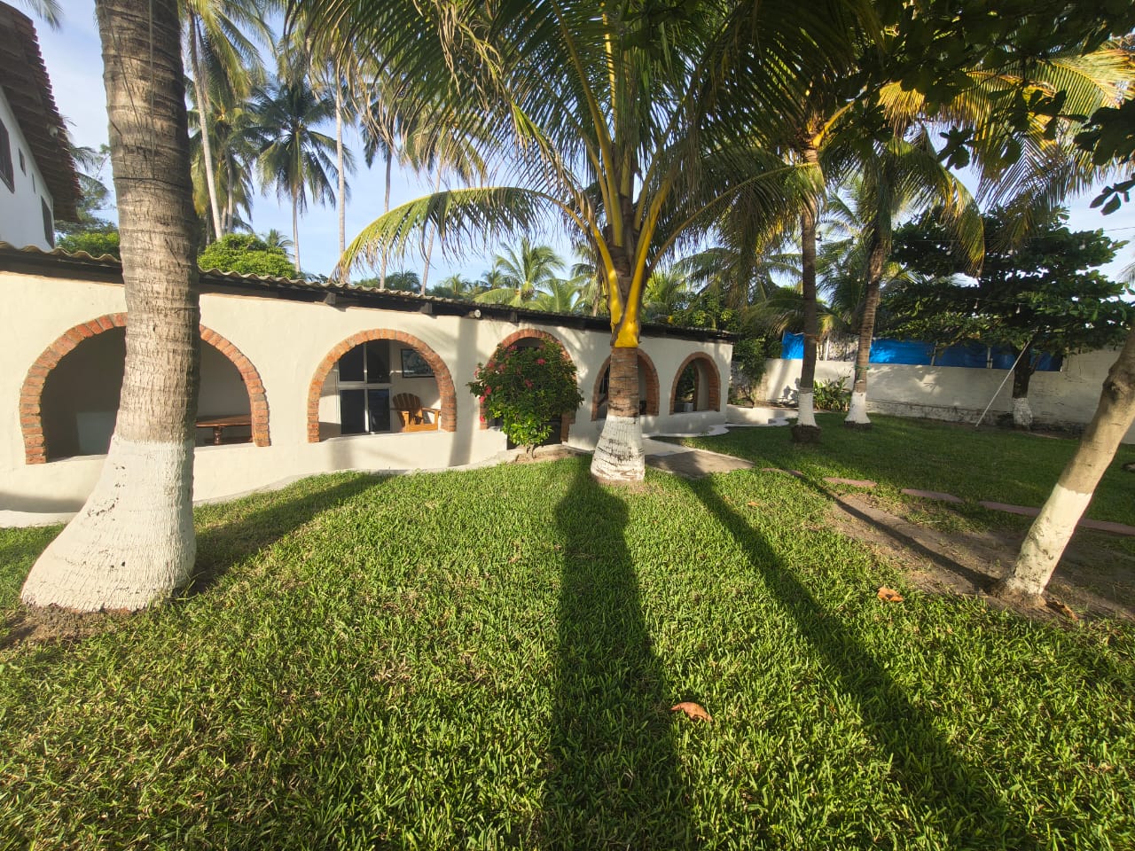 Jardines y Palmeras